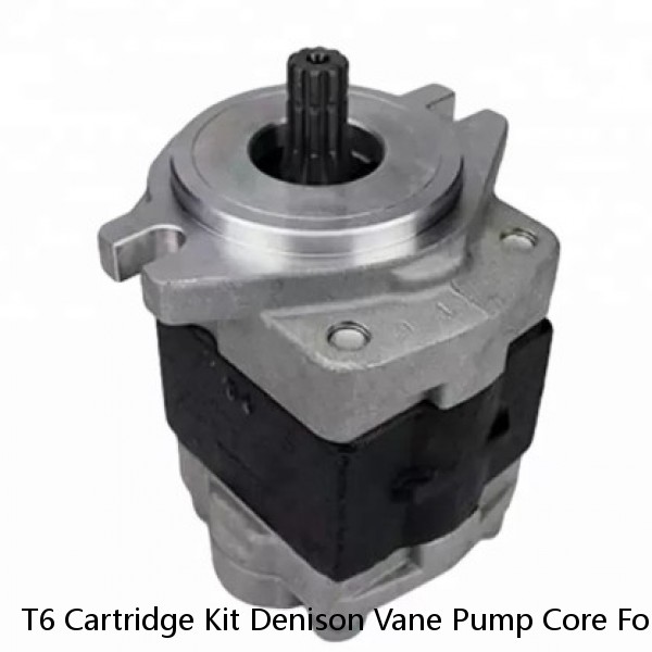 T6 Cartridge Kit Denison Vane Pump Core For Denison Cartridge #1 image